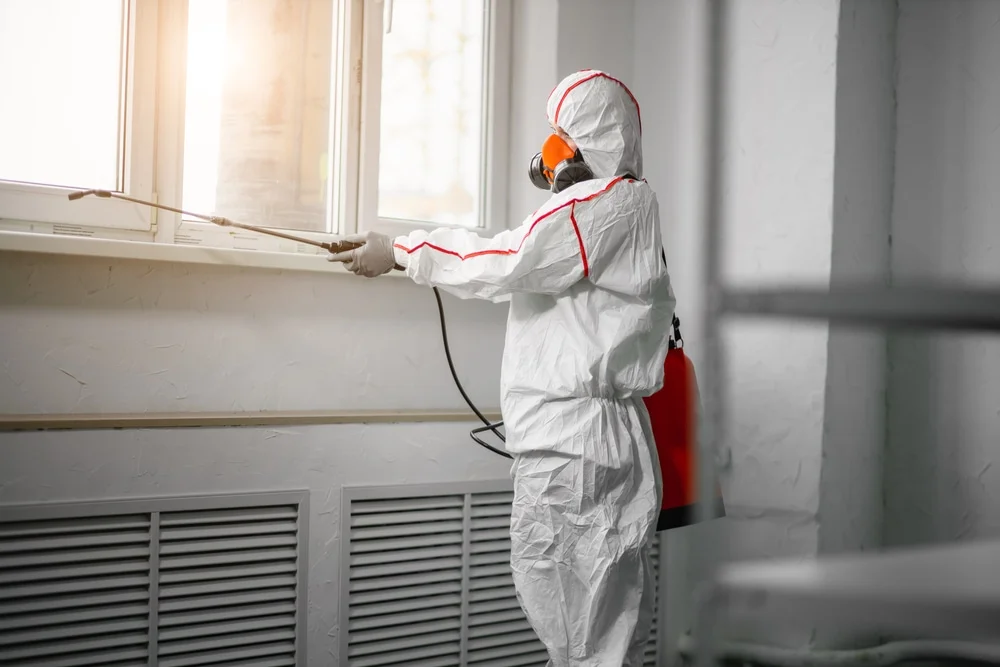 Professional mold remediation services in Jean, NV